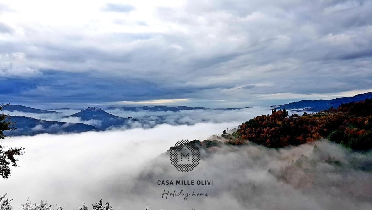 Villa Casa Mille Olivi à Buzet Extérieur photo