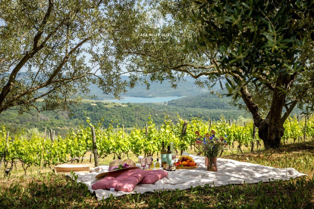 Villa Casa Mille Olivi à Buzet Extérieur photo